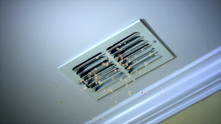 Best HVAC Air Duct Cleaning  in Sisseton, SD